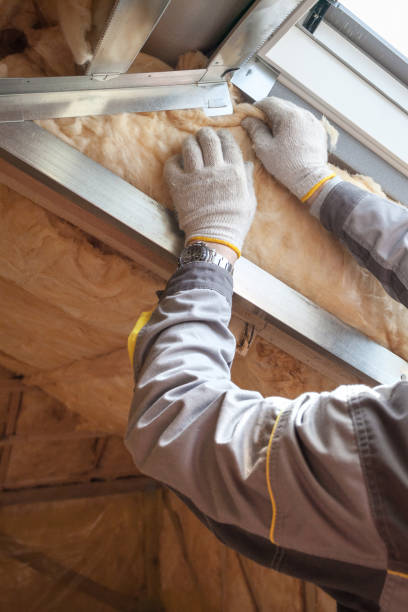 Best Insulation Maintenance and Repair in Jackson, LA