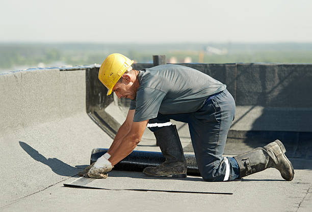 Best Commercial Insulation in Jackson, LA